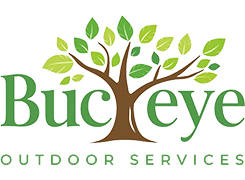 hirebuckeye.com