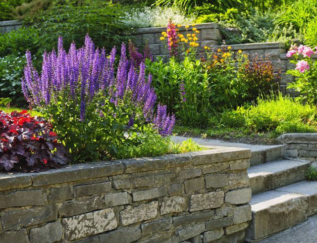 Chimney Repairs & Tuckpointing